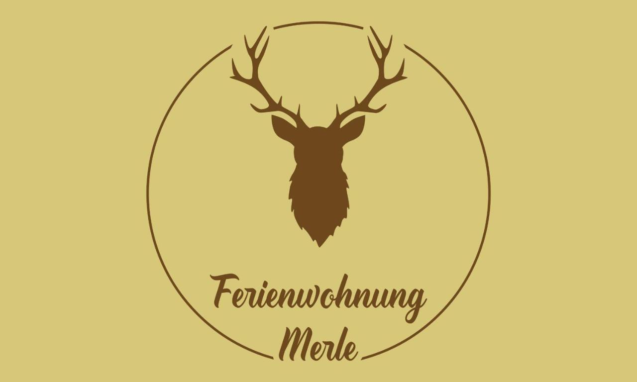 Apartment Ferienwohnung Merle In Winterberg-altastenberg *
