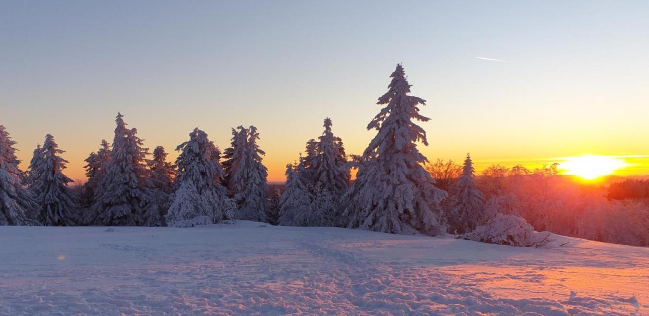 Apartment Ferienwohnung Merle In Winterberg-altastenberg Winterberg
