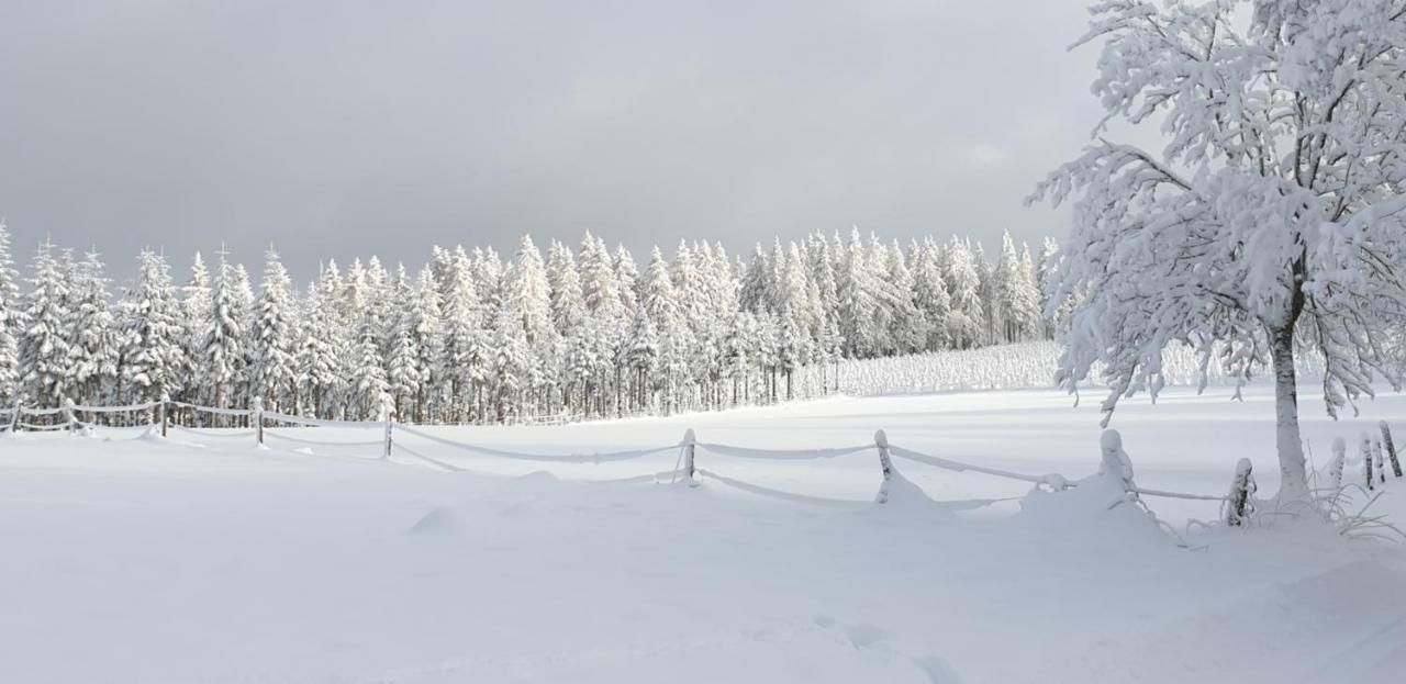 Apartment Ferienwohnung Merle In Winterberg-altastenberg