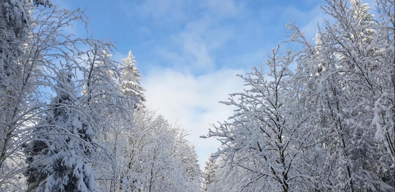 Apartment Ferienwohnung Merle In Winterberg-altastenberg *
